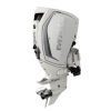 Evinrude H250WXCA 250 HO Outboard Motor
